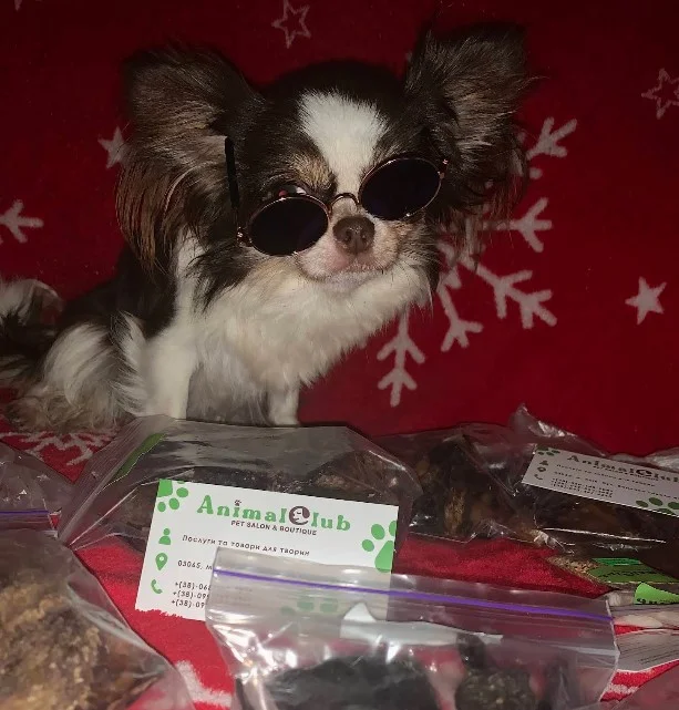 AnimalClub Pet Salon & Boutique, бульвар Вацлава Гавела, будинок 43А, Київ