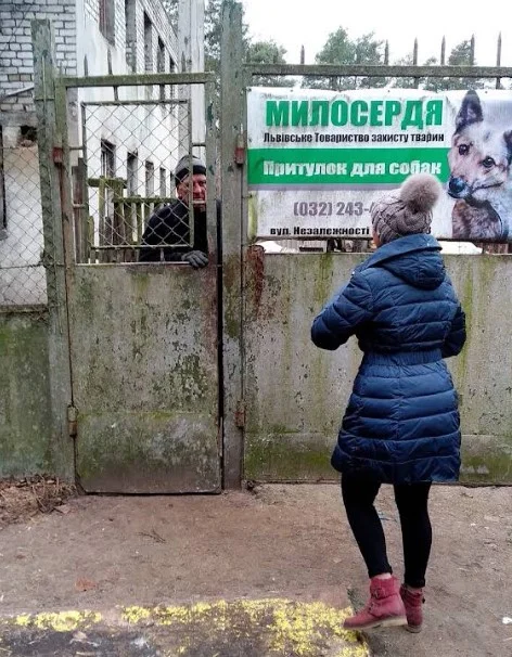 Тваринний притулок “Милосердя”, вулиця Незалежності України, 58, Брюховичі