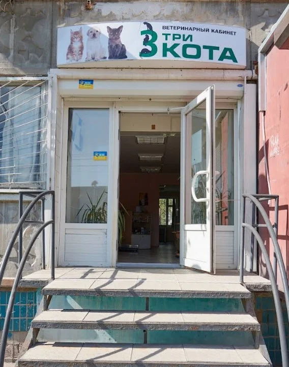 Ветеринарний кабинет Три кота, Парусний провулок, 10, кв. 40, Дніпро
